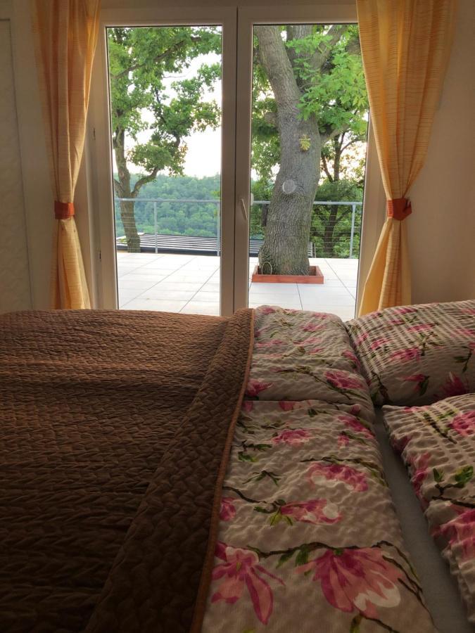 Apartman - D - Vyhlidka Nad Rekou Zdiby Экстерьер фото